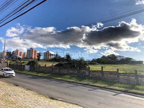 Image 9 - 288618