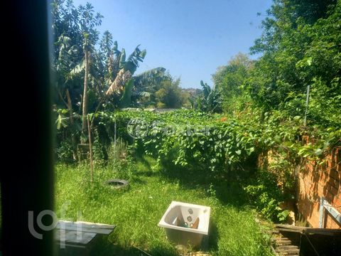 Image 9 - 288852