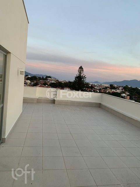 Image 8 - 289478