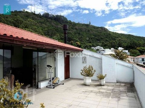 Image 3 - 289955