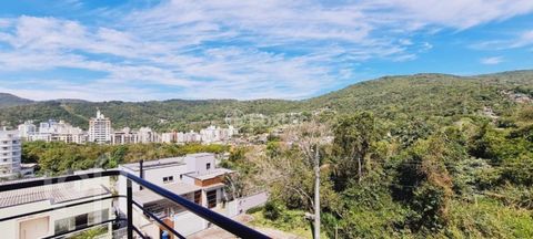 Image 6 - 290010