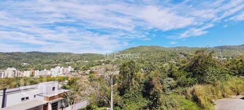 Image 7 - 290010