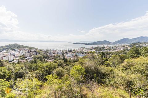 Image 16 - 290509