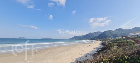Image 14 - 290816