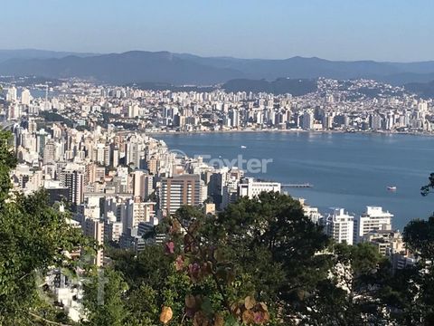 Image 14 - 291099