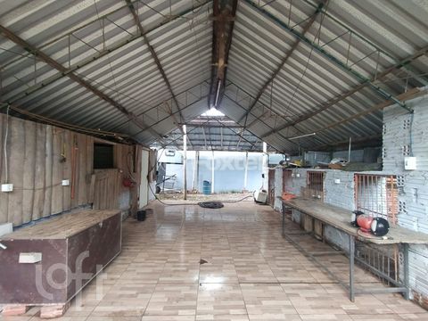 Image 13 - 292933