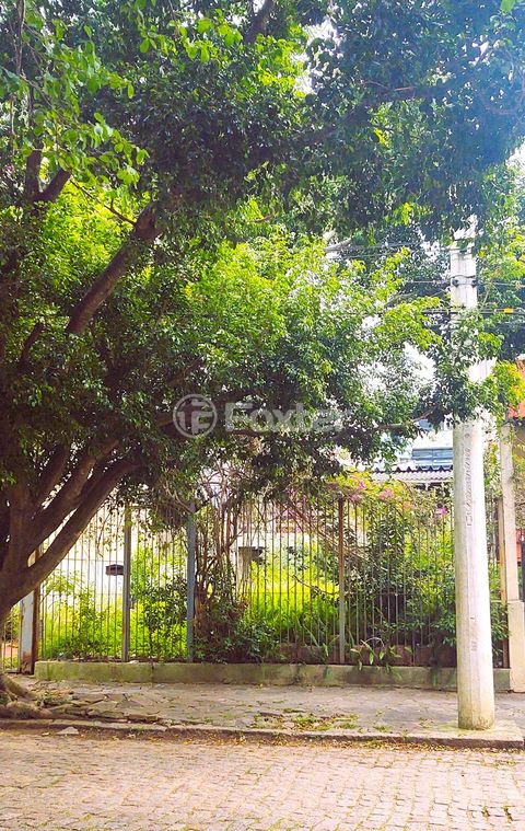 Image 7 - 293562