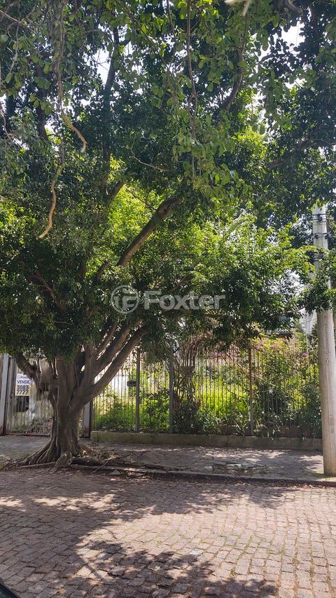 Image 4 - 293562