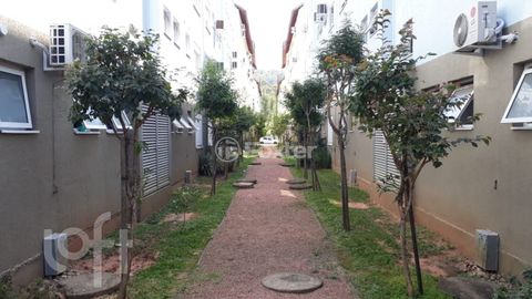 Image 10 - 294400