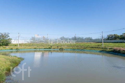 Image 12 - 294478