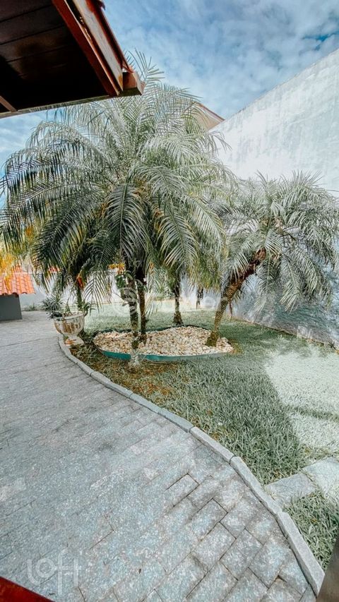Image 3 - 294502