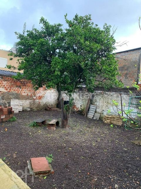Image 7 - 294647