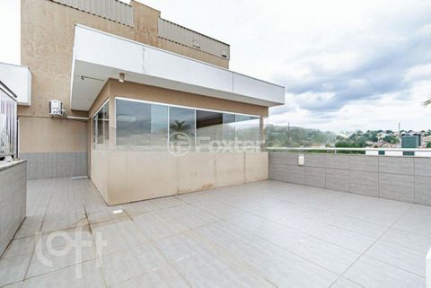 Image 19 - 294946