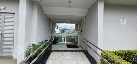 Image 12 - 295217