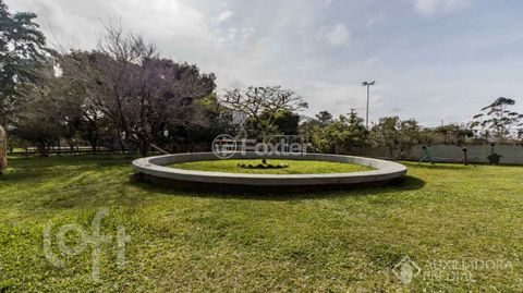 Image 15 - 295533