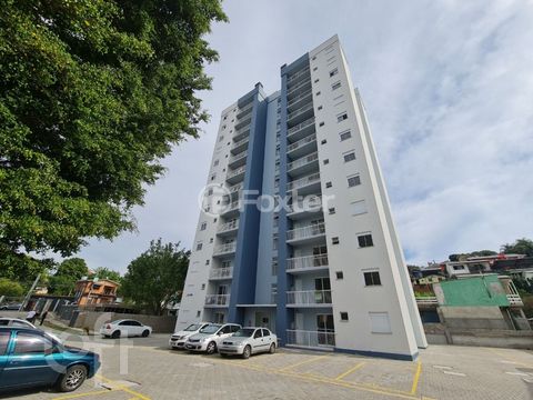 Image 8 - 296446