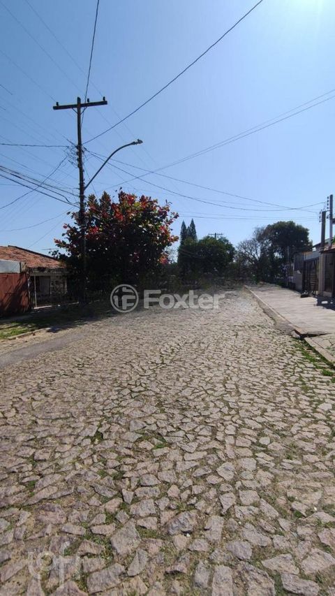 Image 7 - 296657