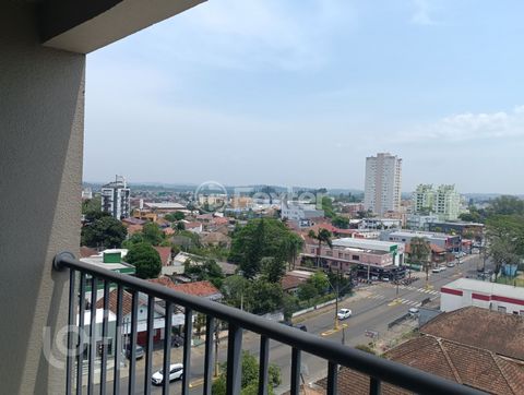 Image 6 - 296702