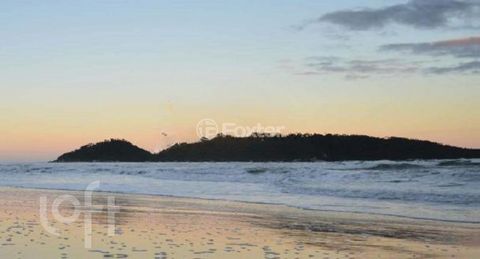 Image 17 - 297786