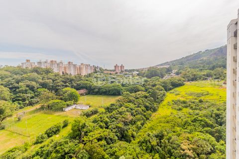Image 6 - 297843