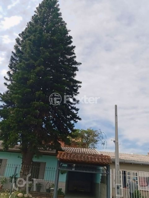 Image 7 - 298113