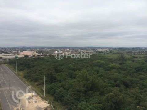 Image 9 - 299464