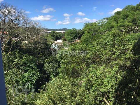 Image 1 - 299484
