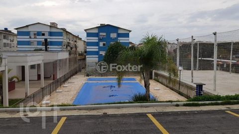 Image 6 - 299545