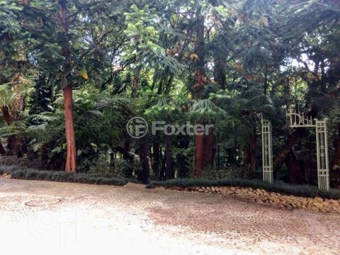 Image 4 - 302553
