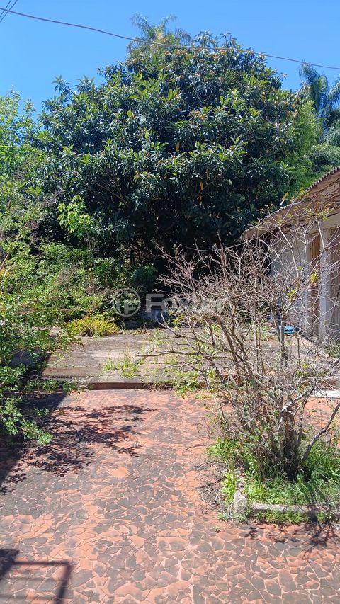 Image 18 - 302794