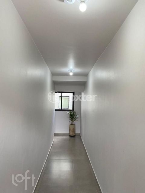 Image 7 - 303387