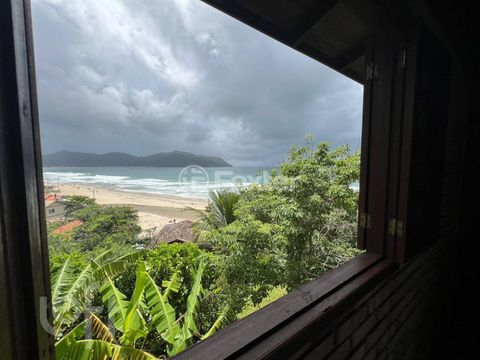 Image 10 - 303437