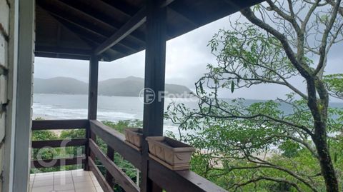 Image 4 - 303437