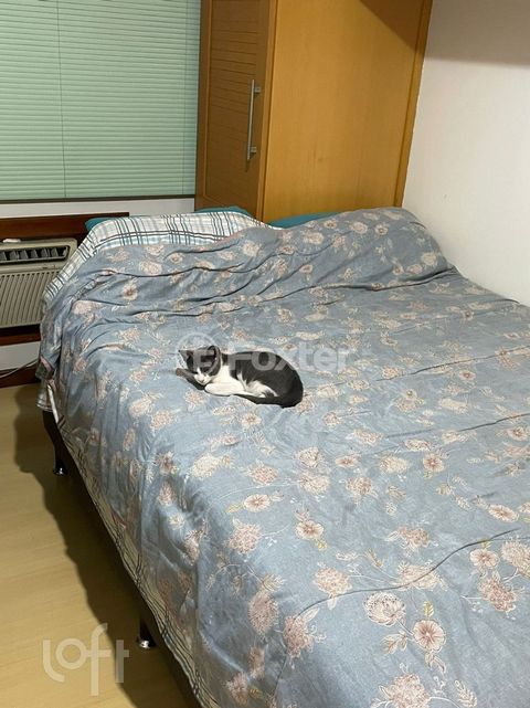 Image 13 - 304801