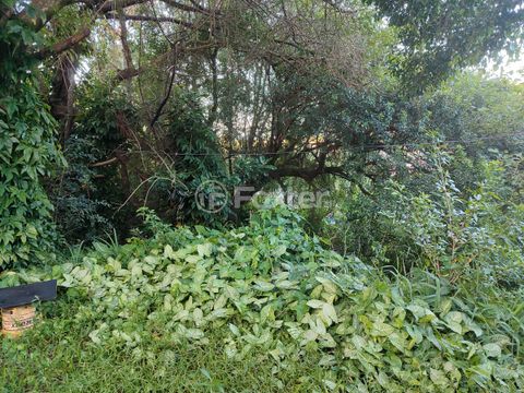 Image 2 - 305177
