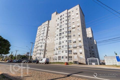 Image 10 - 305433