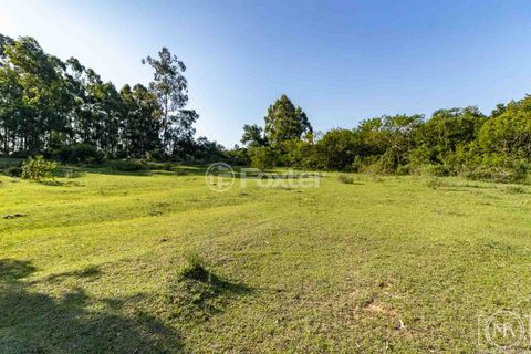 Image 4 - 306835