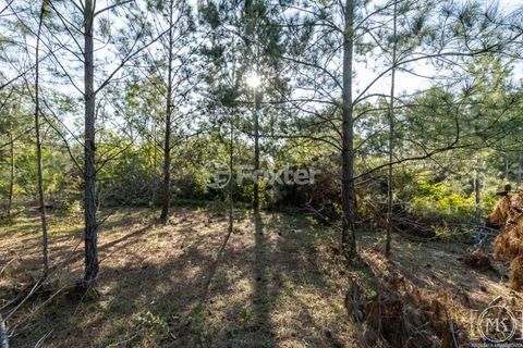 Image 3 - 306835