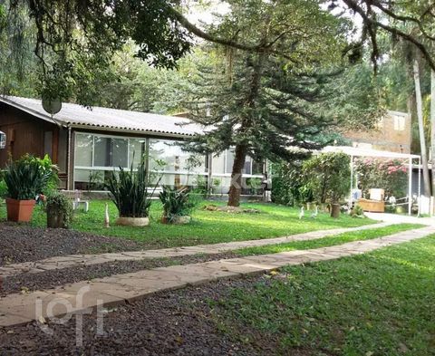 Image 8 - 308195