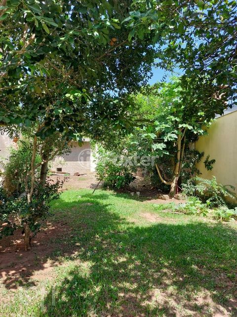 Image 13 - 308235