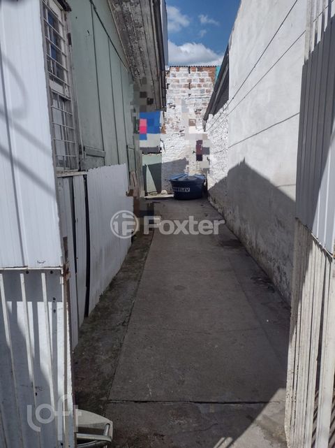 Image 9 - 308247