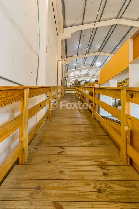Image 10 - 308413