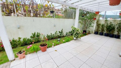 Image 16 - 308755