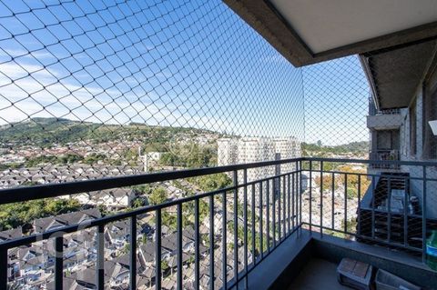 Image 8 - 309509