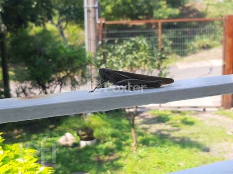 Image 9 - 311391
