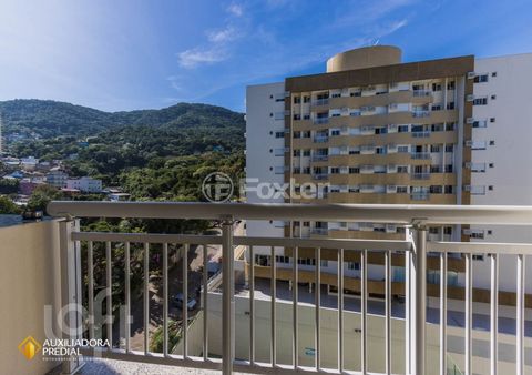 Image 3 - 311436