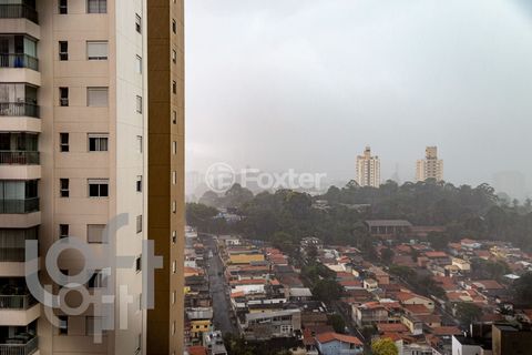 Image 16 - 313447