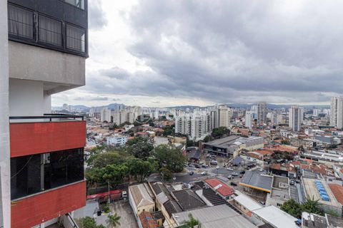 Image 15 - 315266