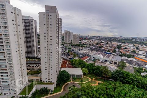 Image 10 - 315562