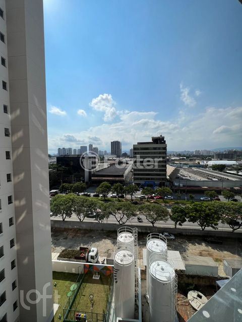 Image 9 - 319822